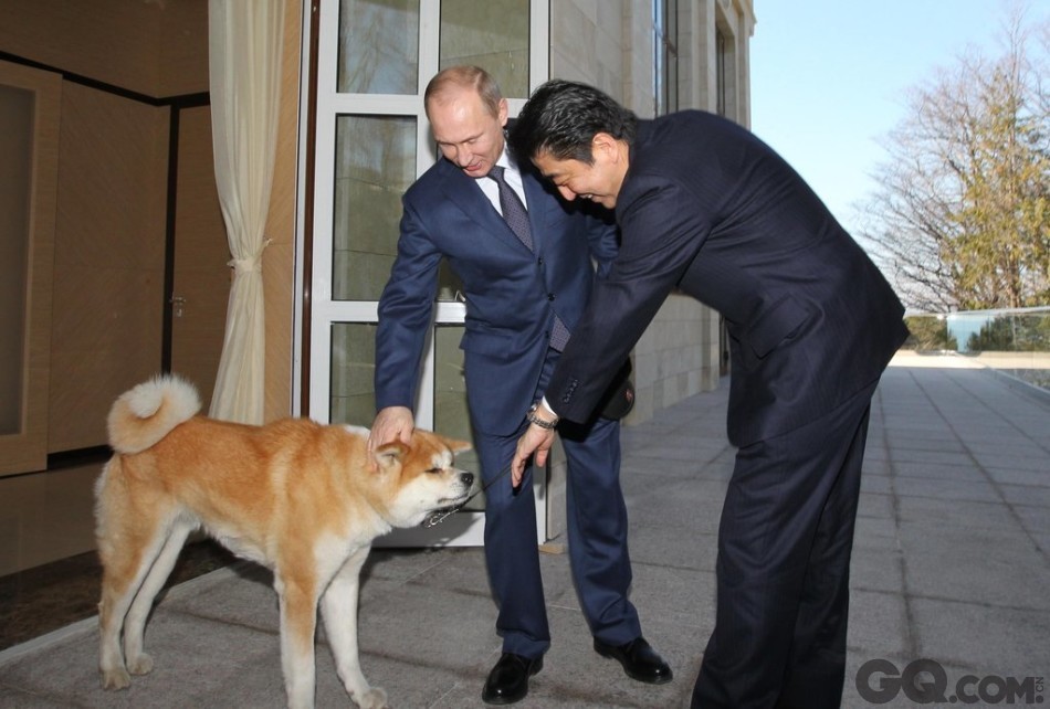 当地时间2014年2月8日，俄罗斯索契，俄罗斯总统普京带着宠物狗Yume会晤到访的日本首相安倍晋三。Yume是安倍在2012年7月访俄时送给普京的礼物，是一只秋田犬，名字意思是“梦”，送的时候3个月大，现在已快两岁了。