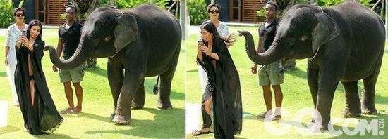 从这张照片看，电视真人秀明星及自拍狂——金•卡戴珊（Kim Kardashian）在泰国试图与大象自拍合影时险些受伤。在这张自拍照中，也有可能大象只是想看看照片中自己的模样。网民们十分喜爱这张照片，但是还有个问题：卡戴珊会将这张照片放进她的自拍书籍中吗？据悉，这本与里佐利（Rizzoli）合著书籍将于明年出版。