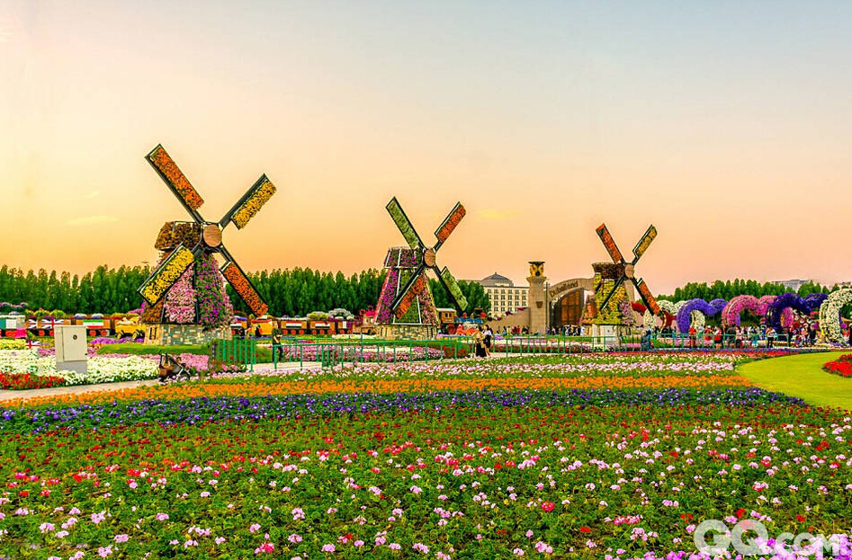 据英国《每日邮报》6月20日报道，迪拜奇迹花园是迪拜最大的户外休闲度假胜地，也被称为世界上最美的花园。迪拜奇迹花园的建造耗费了4500万株鲜花，是现在世界最大的花园。目光所及，色彩缤纷，其明艳的花朵装饰着一周长长的围墙以及长达4千米的蹊径，在日光下灿烂生辉。园内4500万株鲜花分为各种不同的主题，不少花种更是第一次出现在中东地区种植。