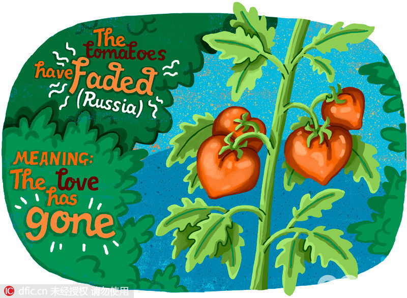 俄罗斯人说“番茄枯萎了”，意思是爱情鸟飞走了。