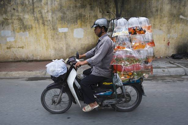 越南因道路狭窄，交通基础设施落后，摩托车又比自行车和电动车行驶得更远，这样就使摩托车成为越南最为普遍的交通工具，因此越南也被称作“摩托车王国”。荷兰摄影师Hans Kemp于1991年首次前往越南，眼前的景象令这位异国摄影师瞠目结舌：“我不敢相信自己的眼睛，摩托车流在我面前驶过。” Kemp花费两年时间拍摄了一组越南街头摩托车载物的照片。Kemp镜头下记录的不仅仅是洪流般的摩托大军，更令人大跌眼镜的是那些骑车人的特技，严重超载的摩托车也成为越南街头的一道风景线。