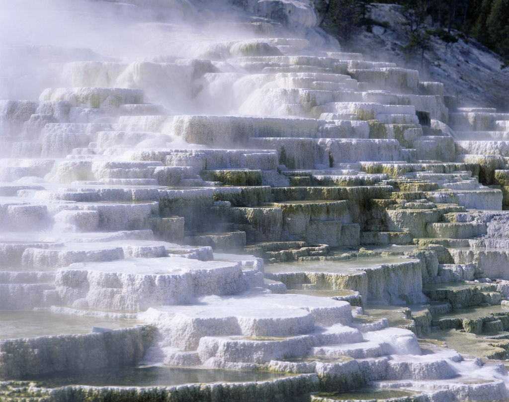 猛犸温泉，位于美国黄石公园猛犸温泉(Mammoth Hot Springs)是世界上已探明的最大的碳酸盐沉积温泉，它最显著的特点当属米涅瓦阶地，那是几千年来冷却沉淀的温泉水所形成的一连串阶地。形成阶地一大要素就是碳酸钙，几百万年前马姆莫斯地区底部的海水，为这里留下了厚质的沉淀性石灰石，当高温的酸性溶液流经岩石层到达温泉表面的过程中，它溶解了大量的沉淀性石灰石，一遇到空气，溶液中的部分二氧化碳就会从溶液中挥发，同时固体矿物质形成并最终以石灰华形式沉淀，就形成了阶地。远远望去堆金积玉、晶莹剔透，留下的热泉沿着山坡形成一个一个非常漂亮的五彩大台阶，同样的景色让人不由想到我们中国四川黄龙的五彩池，不一样的是，黄龙是冷泉，猛犸是热泉。
