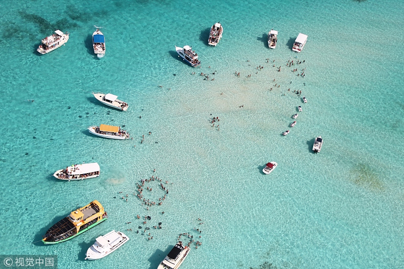 美国,圣路易斯奥比斯波象海豹聚集区。 美国,圣路易斯奥比斯波象海豹聚集区。 美国,圣路易斯奥比斯波象海豹聚集区。 肯尼亚,纳库鲁湖火烈鸟。 肯尼亚,纳库鲁湖火烈鸟。 肯尼亚,纳库鲁湖火烈鸟。 肯尼亚,纳库鲁湖火烈鸟。 开曼群岛,魔鬼鱼城。 开曼群岛魔鬼鱼城,这里是鳐鱼(俗称魔鬼鱼)的聚居区,42岁的水下摄影师Ellen Cuylaerts用镜头记录了她儿子和朋友与魔鬼鱼嬉戏的场面。 开曼群岛,魔鬼鱼城。 日本青岛(Aoshima),日本爱媛县大洲市青岛上的猫。青岛是日本著名的猫岛。截至2018年8月,岛上