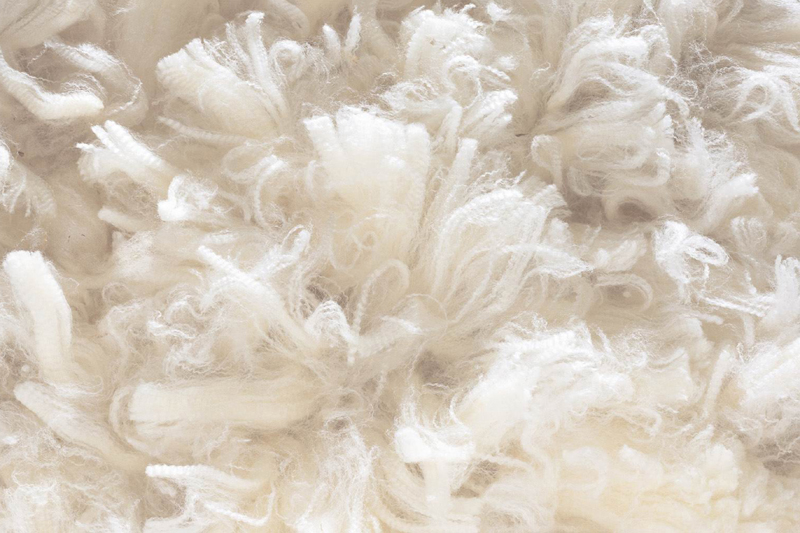maxmara与thewoolmarkcompany推出羊毛单宁面料共庆美丽诺羊毛周