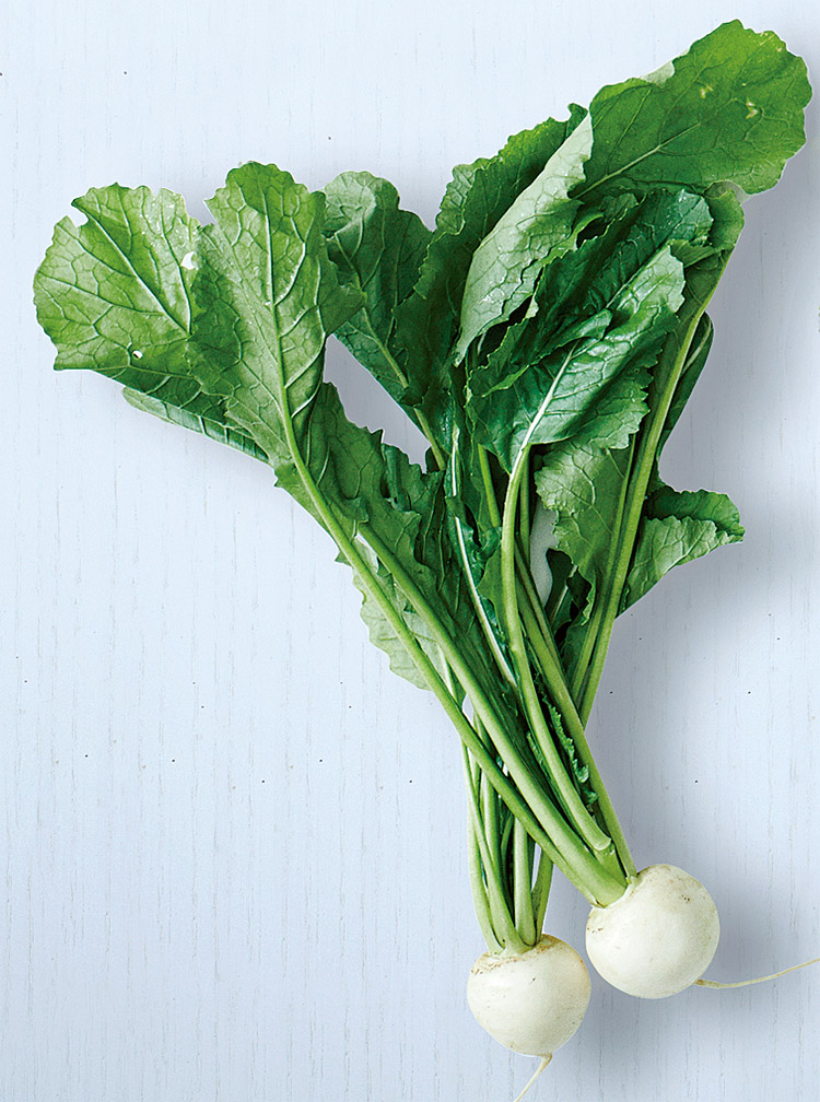 萝卜叶 turnip greens