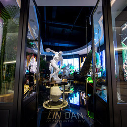 林丹品牌旗舰店“LIN DAN”在成都盛大开幕 