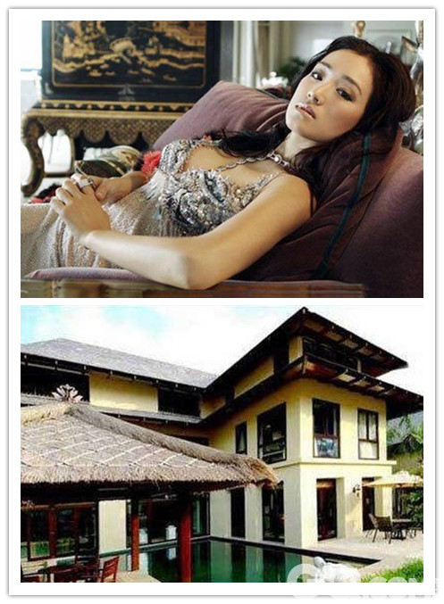 巩俐加入了新加坡国籍后购置了豪宅。