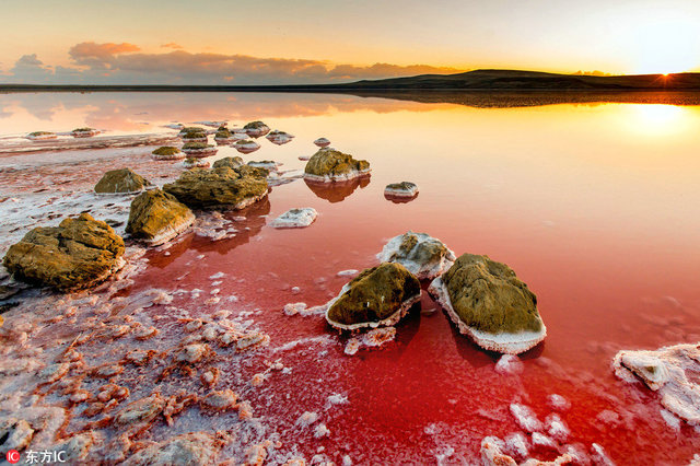 这一湖粉水好似火星风光，而事实上这个梦幻般美丽的湖泊在乌克兰。在一天内不同的光照之下，浅浅的Koyashskoye盐湖呈现出从暗粉红到深红等不同的颜色。由于湖水极高的含盐量，使得这里的土壤盐碱化程度较高，裸露在水面上的石块星星点点的分布在整片缺乏植被覆盖的贫瘠湖区，形成一幅仿佛仅有外星球才看得到的景观。