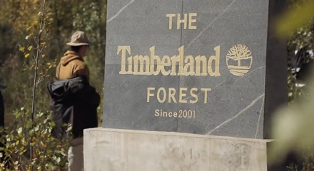 坚持，就是最酷的一件事 2018 Timberland 科尔沁植树之旅纪实