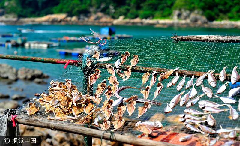 推荐国内10个既能痛快吃海鲜又能休闲度假的地区-云帆沧海