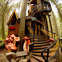 13座趣味树屋 带你走进童年梦境 -旅行度假