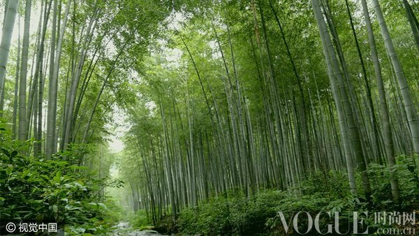 国内十大“吸氧景区”畅快呼吸新鲜空气