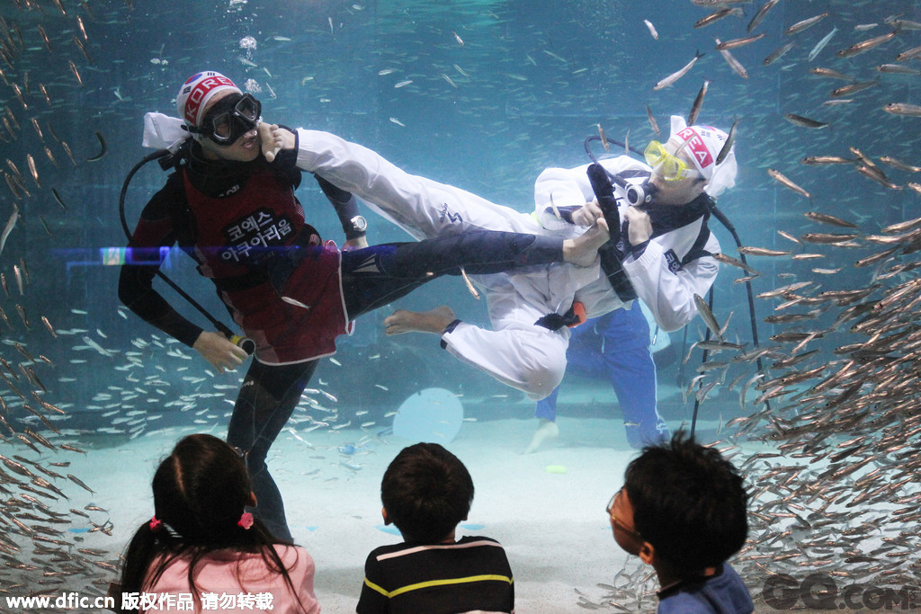 韩国首尔，海洋水族馆中举行趣味“水下运动会”，潜水员在水下表演举重、跆拳道等项目，还有成群的沙丁鱼围绕在潜水员身旁，比赛别开生面。