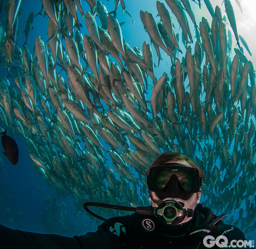墨西哥普尔莫角海岸是深海潜水者的乐园。