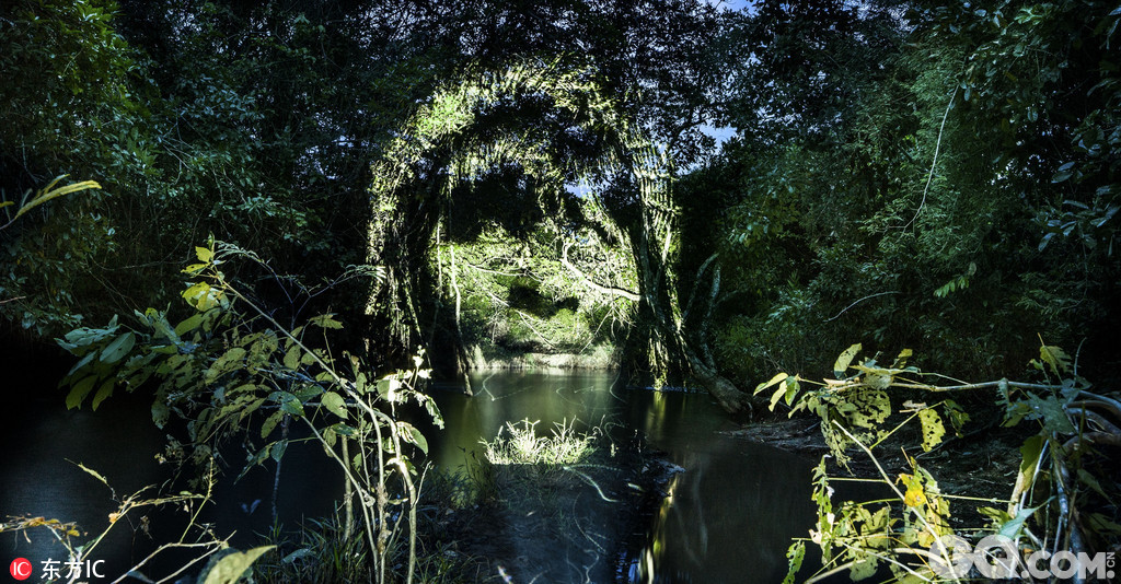 呼吁人们保护亚马逊原始森林,减少1024_534