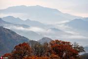 大别山区安徽省金寨县马鬃岭保护区层林尽染，云雾缭绕，美如仙境。