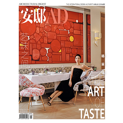 AD杂志6期6折订阅