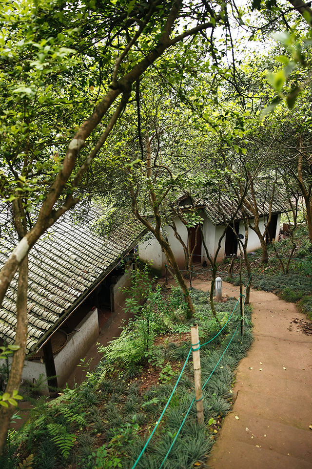 躬耕书院新乡绅的归田园居