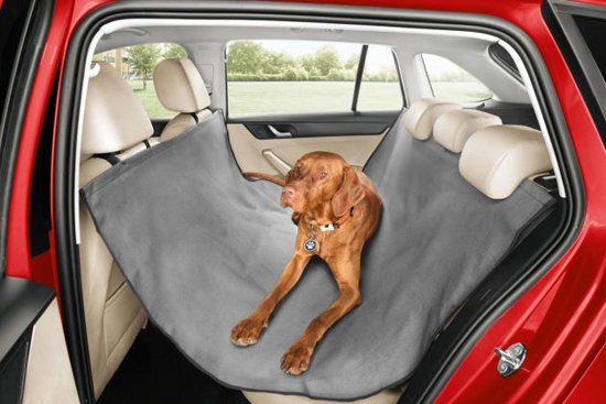 让你的宠物在车里更安全