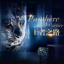 王者之路-卡地亚全新猎豹系列高级珠宝-销售专题