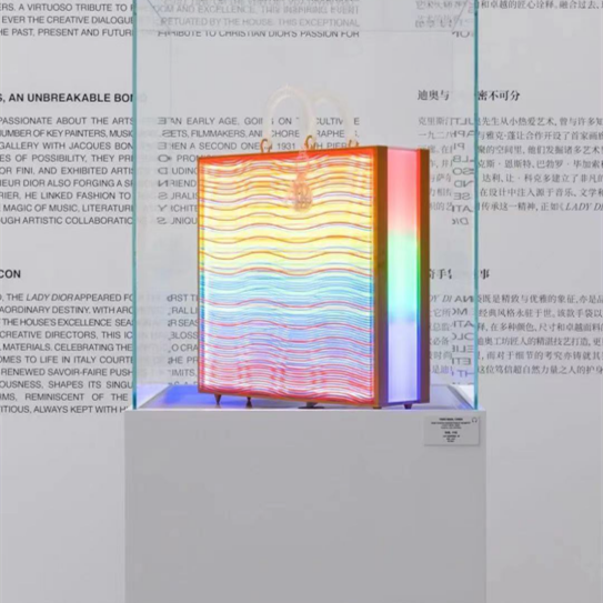 以当代艺术演绎经典迪奥 ——万物大集合作艺术家杨冕的光盒